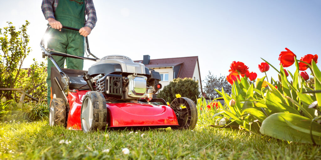 Professionelle Gartenpflege für eine Wohlfühloase